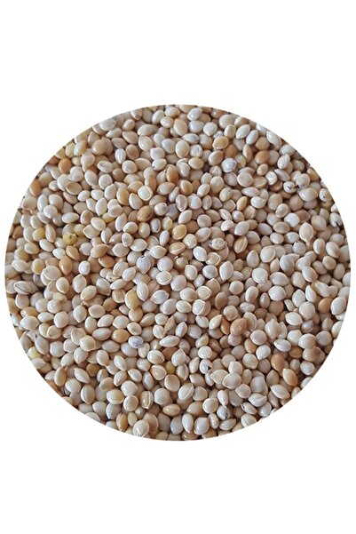 ÇIRPAN KUŞ DÜNYASI Sade Akdarı Kuş Yemi 500 gr (ÖZEL VAKUMLU AMBALAJ)