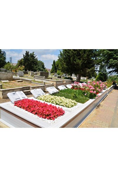 Asenya Mezar Taşı 6 Kg 1-2 Cm Beyaz Dolomit Taş Dere Çakıl Taşı Bahçe Süs Taşı Mezar Süsleme Taşı