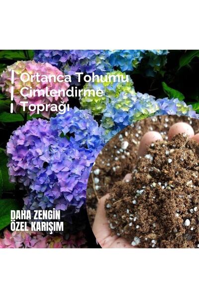 LOBELYA TOHUMCULUK Ortanca Tohumu Ekim Toprağı 1 Litre Özel Karışım Toprak