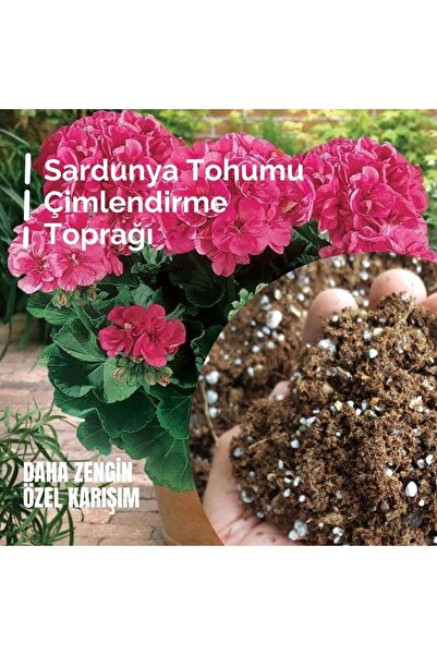 LOBELYA TOHUMCULUK Sardunya Tohumu Filizlendirme Toprağı 1 Litre Özel Karışım...