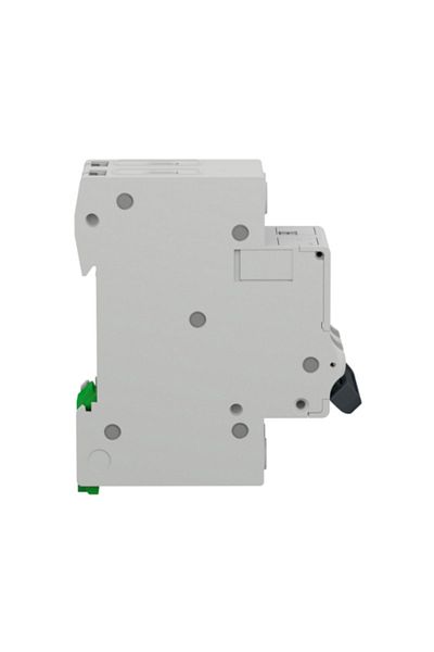 SCHNEIDER Easy9 2P 63A 6Ka C - Curve Fused