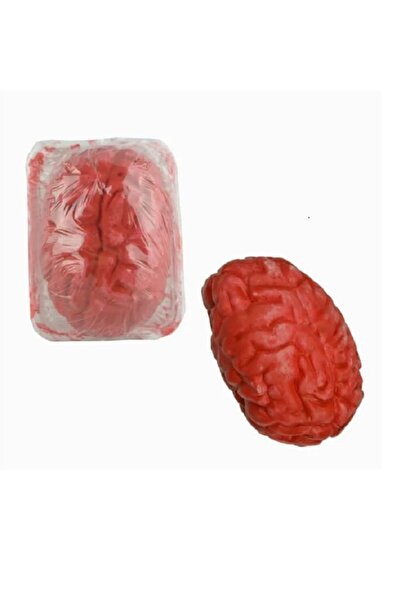 Ufuk Şaka Oyunları Merkezi Beyin