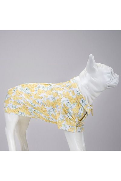Lindodogs Spring Small and Medium Breed Dog Shirt