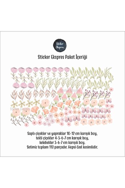 Sticker Ekspres Kır Çiçekleri Çiçek Çocuk Odası Duvar Sticker Seti