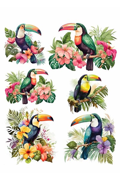 MyHobby Sulu Transfer Kağıdı Lnt-127 25x35 Cm