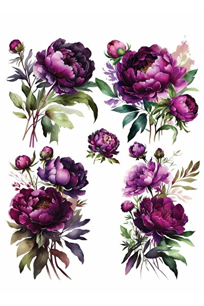 MyHobby Sulu Transfer Kağıdı Lnt-126 25x35 Cm