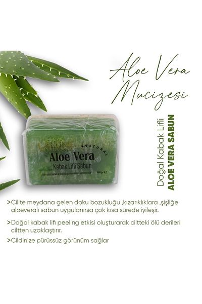 Lalune Natural Pumpkin Fiber Aloe Vera Soap 100 Gr
