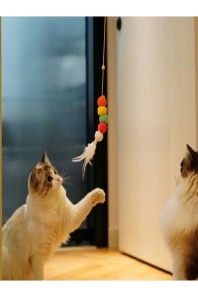 Özasya AVM Elastic Cat Play Rod Self-Adhesive