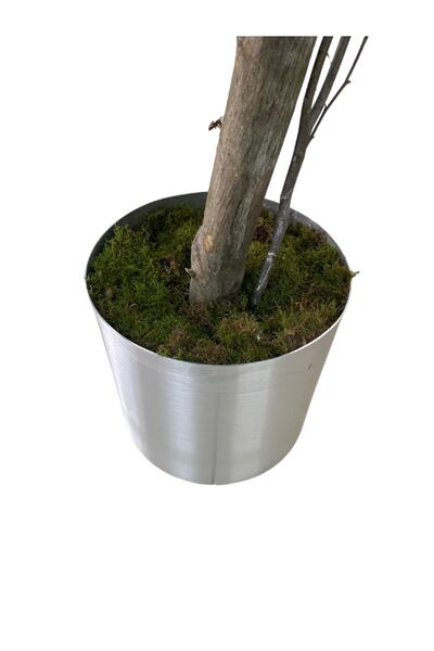 Cihan Çiçekçilik Beyaz Bahar Dalı 140 Cm Yapay Ağaç 20x20 Metal Saksı