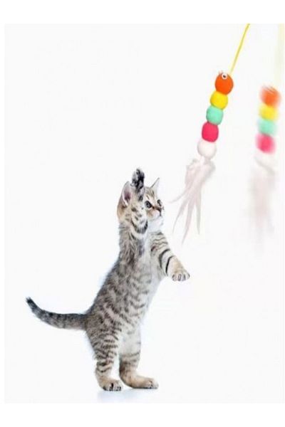 İNDİRİM PRO Elastic Cat Play Rod - Adhesive