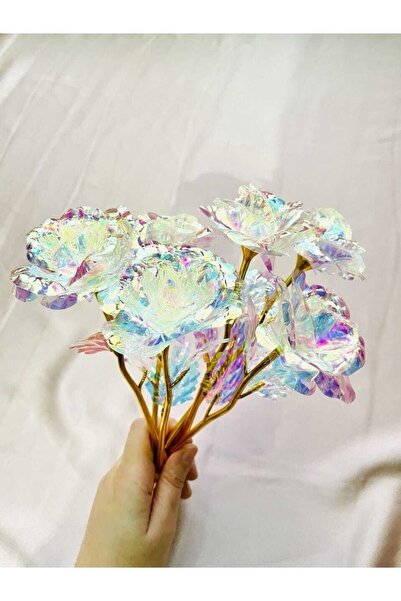 bagwomen aksesuar Sonsuzluk Gülü Sevgiliye Hediye Gül 14 Şubat Sevgililer Günü Hediyesi Anneler Günü Hediyesi