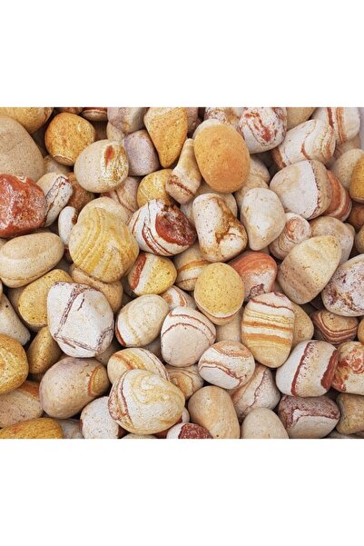 Asenya Sarı Çizgili Dolomit Taş 5 Kg 6-10 Cm Dere Taşı Çakıl Taşı Bahçe Süs T...