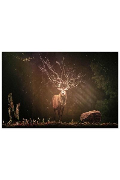 Cakatablo Ahşap Tablo Geyik Orman Ve Güneş Işığı Kompozisyon -50-70 Cm