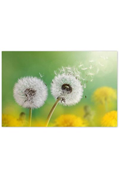 Cakatablo Ξύλινος Πίνακας με Δύο Μακροεντολήματα Πικραλίδας -25-35 εκ.