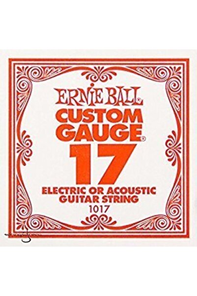 Ernie Ball P01017 017 Jedna žica za gitaru za električne i akustične gitare