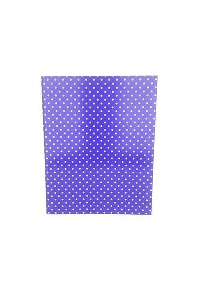 Maxx 501-1 Purple Polka Dot Folder