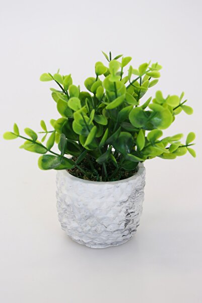 Yapay Çiçek Deposu Dekoratif Beton Saksıda Şimşir Tanzimi 15 cm