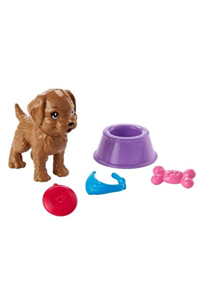 mattel Barbie'nin Hayatından Eğlenceli Aksesuarlar Fjd56-fhy70