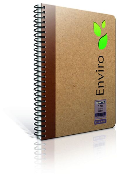 Gıpta 1793 Enviro Sp.kraft Hard Cap.edef.17x24-100 Yp.