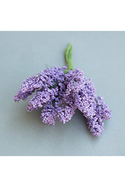 BarokBonbon Plastik Lavanta 144 Adet