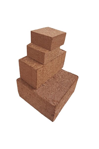 BİTBEST Cocopeat 8lt Sıkıştırılmış Hindistan Cevizi Torfu Bitki Toprağı
