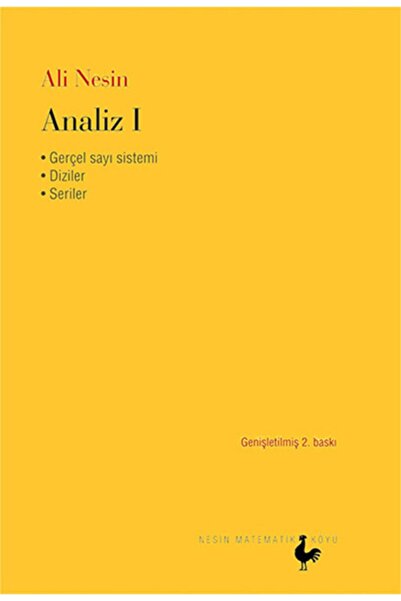 Nesin Matematik Köyü Analiz 1