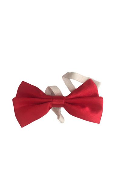 Dıgıl Kids Boy's Red Bow Tie