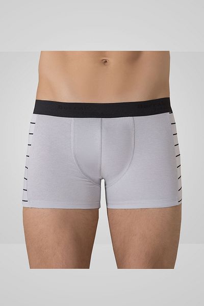 Berrak Ανδρικό γκρι Modal ριγέ Lycra Boxer 1082