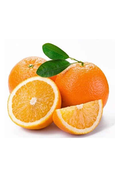 Washington Orange Sapling