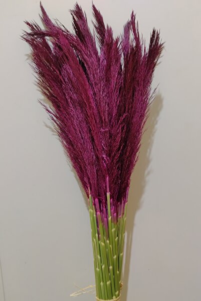 EÇiçek Şoklanmış 15li Pampas Otu Soft Pembe Renk 100 Cm