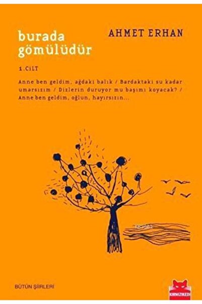 Kırmızı Kedi Yayınevi Burada Gömülüdür