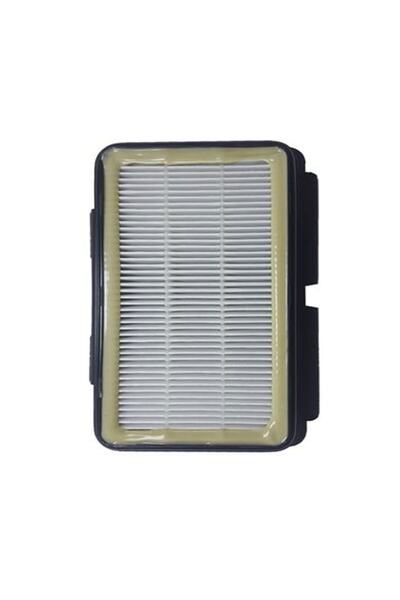 Rowenta Rs-rt4109 Модел Hepa Филтър