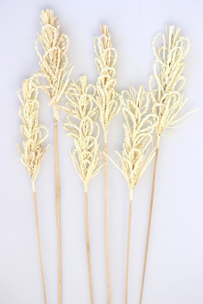 Yapay Çiçek Deposu Natural Doğal Örgü Palm Possy Exotic 6 Adet