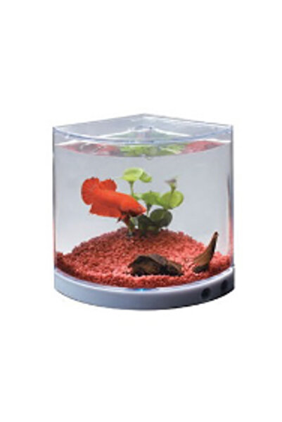 Dophin Betalık Döner Renkli Işıklı Adaptörlü