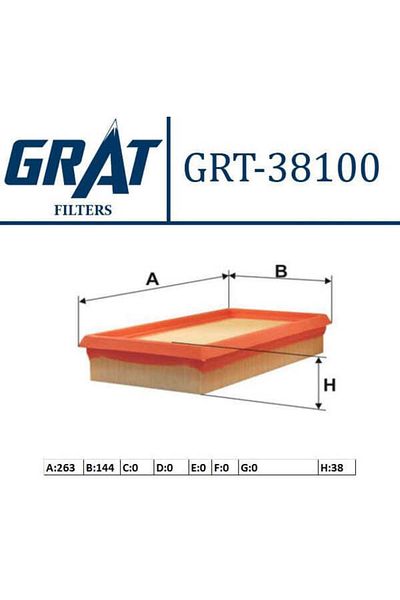 GRAT Rio 00-05 1.3 1.5 Air Filter - 38100 Model