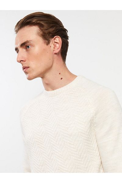 LC Waikiki Crew Neck Long Sleeve Self Patterned Men's Knitwear Sweater