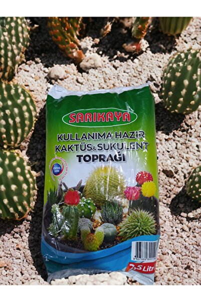 KöstebekTarim Kaktüs & Sukulent Toprağı Kullanıma Hazır 5 Litre %100 Organic
