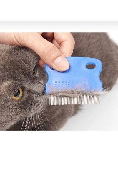 BRN Petshop Bit Pire Tarağı