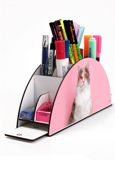 kutuTR Wooden Vip Dog And Cat Model Rainbow Ruled Desktop Pen Holder Organizer Assembled Boxed