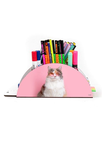 kutuTR Wooden Vip Dog And Cat Model Rainbow Ruled Desktop Pen Holder Organizer Assembled Boxed
