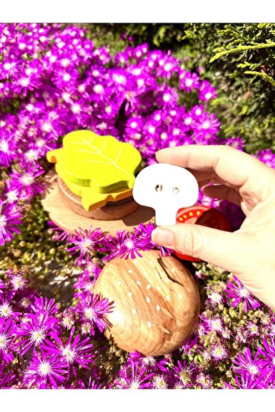 BİLMİŞ ÇOCUK Waldorf Ahşap Hamburger Set