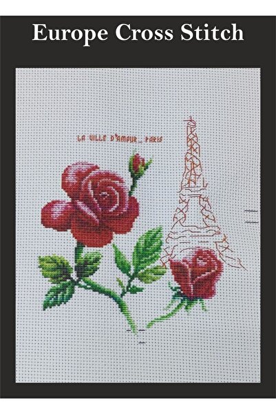 EleganTShoP Set de panouri pentru pictură cu tapiserie imprimată Yh3220