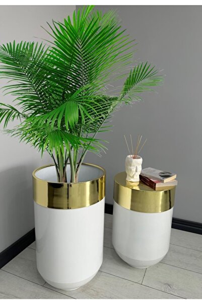 evdeniste Dekoratif Gold Darbuka Parlak Beyaz Saksı 70cm + Sehpa 60cm Ikili Set