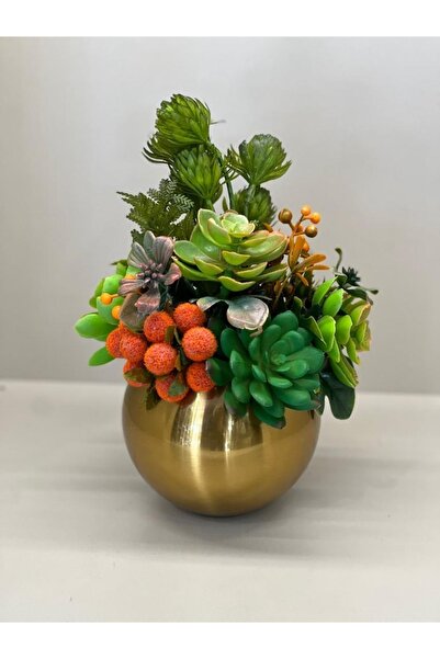 TASARIMHMODA Sukulent Tanzimli Antik Gold Mercan Vazo