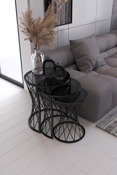 Nies Aksesuar Hasır Telli Pota 3'lü Siyah Ayak Füme Cam