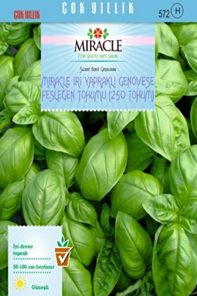 Miracle Tohum Miracle Iri Yapraklı Genovese Fesleğen Tohumu (250 Tohum)