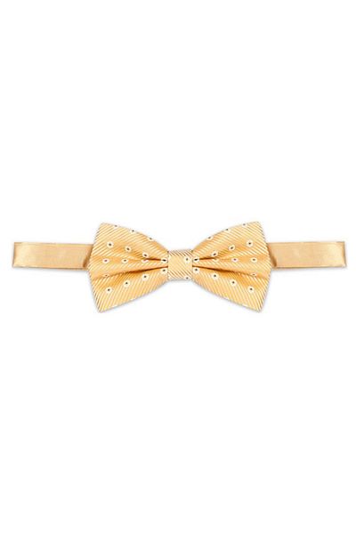 Varetta Men's Yellow Flower Pattern Adult Bow Tie