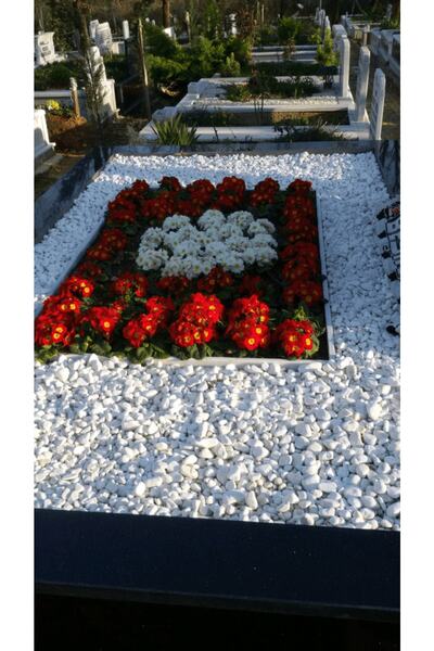 Asenya Mezar Taşı 3 Kg 2-4 Cm Beyaz Dolomit Taş Dere Çakıl Taşı Bahçe Süs Taş...