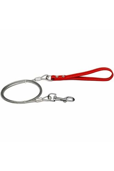 AquaHome Steel Rope Walking