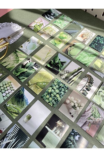 Hume Craft ملصق دفتر الملاحظات الجمالي الأخضر كتيب مجلة رصاصة ملصق / دفتر / ملصق جدول الأعمال / ملصق